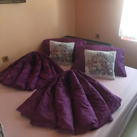 Mg Apartment