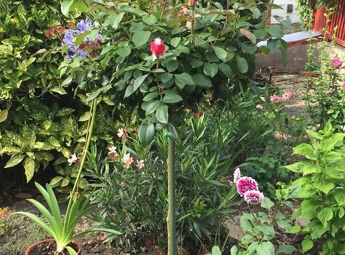 Апартаменты Mg *